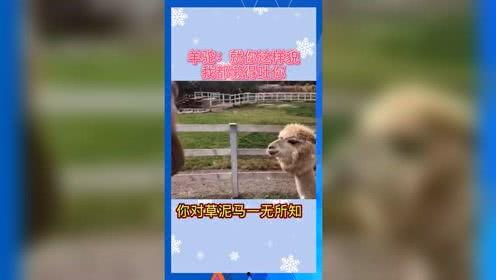 娱乐吃瓜的本质,吃瓜群众的狂欢盛宴