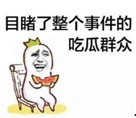 娱乐吃瓜文案搞笑头像,搞笑头像背后的娱乐盛宴