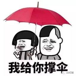 娱乐吃瓜酱老伞,揭秘老伞背后的故事与传奇