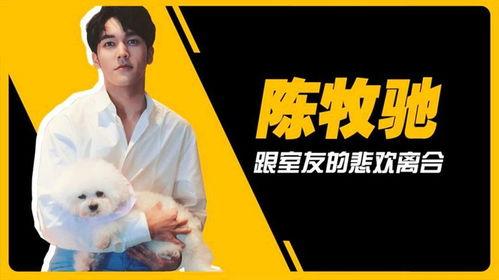 吴楚一娱乐圈吃瓜,揭秘明星背后的“吃瓜”故事