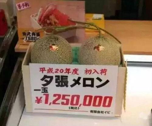 娱乐吃瓜作品有哪些