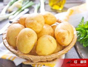 娱乐吃瓜小金土豆