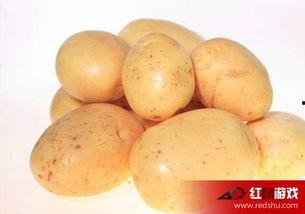 娱乐吃瓜小金土豆