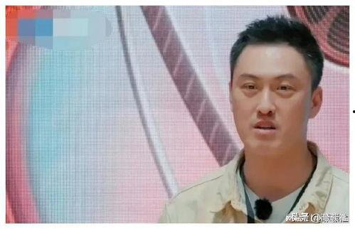 娱乐圈爆料吃瓜游戏视频,吃瓜游戏视频背后的明星秘闻