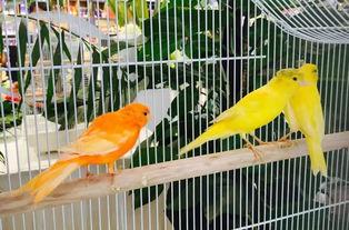 郑州吃瓜娱乐官网